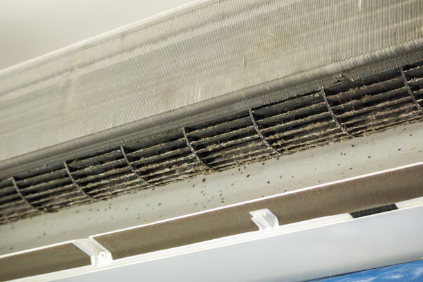 Best Best Air Duct Cleaning Company  in Canutillo, TX